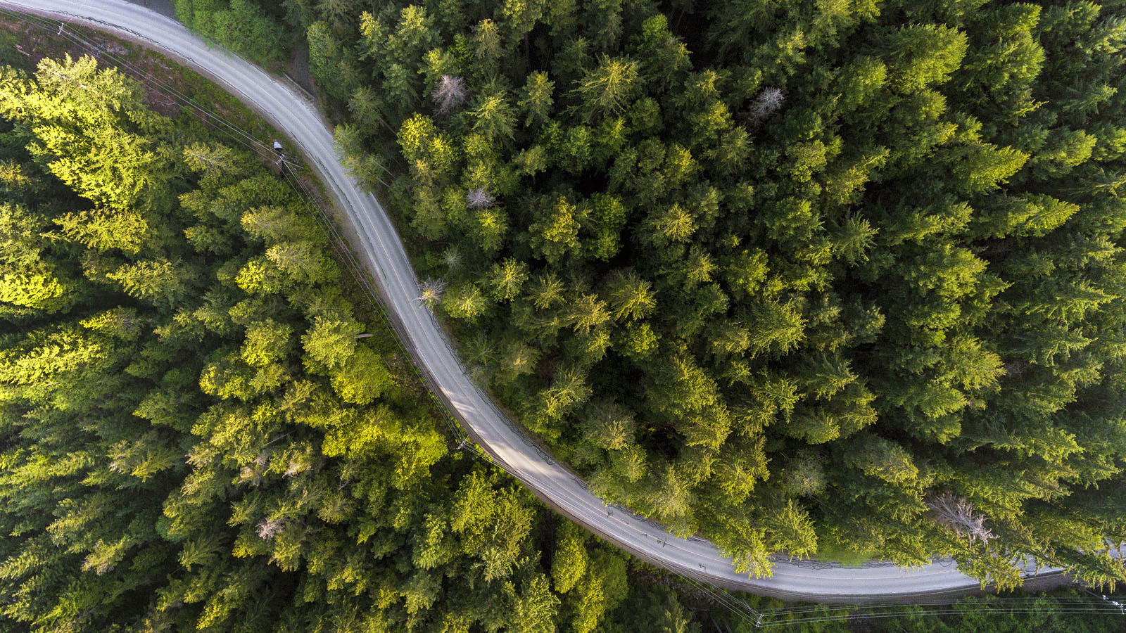 Vancouver Island Connector | Convenient Motor Coach Travel